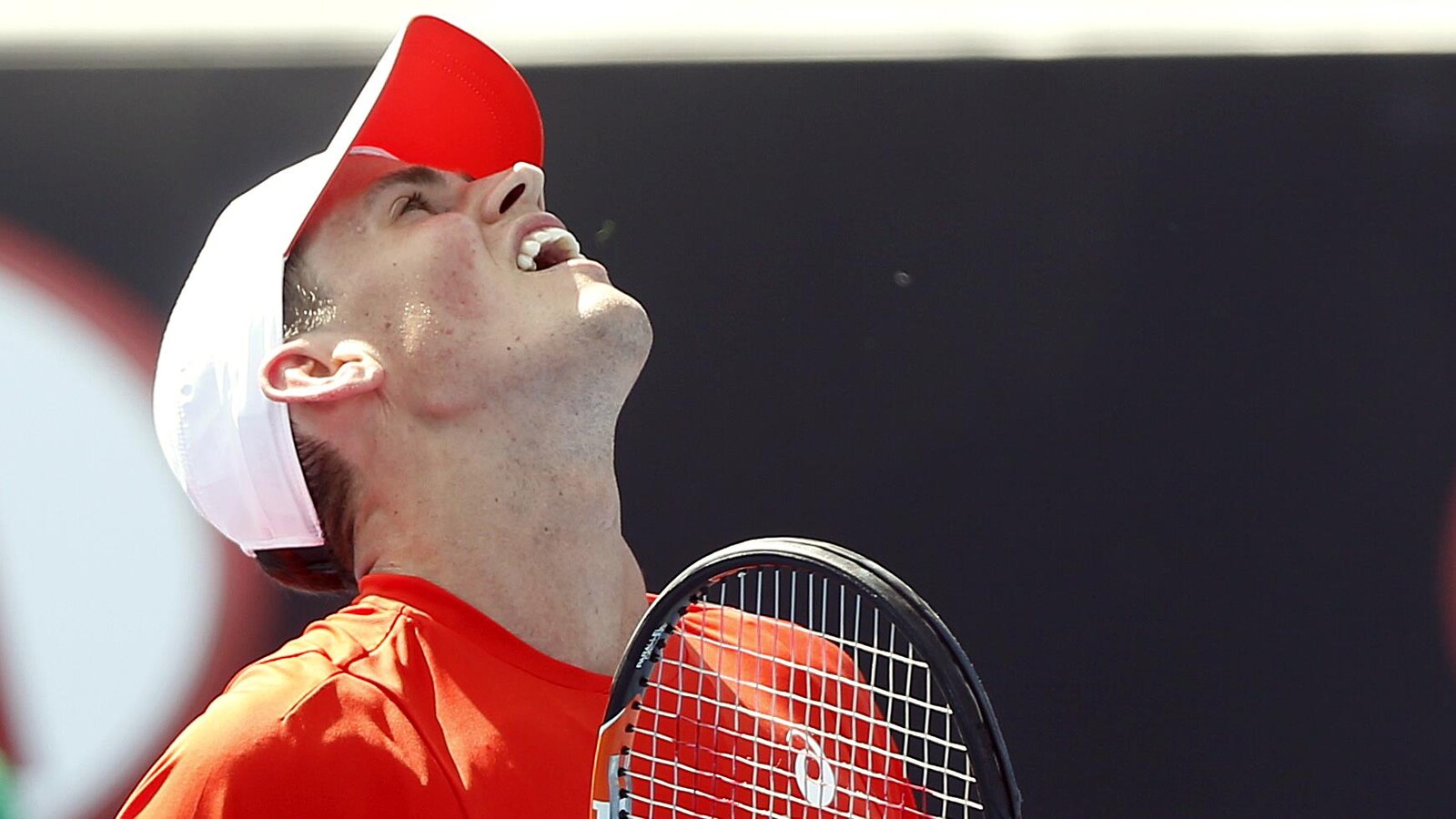 Vasek Pospisil