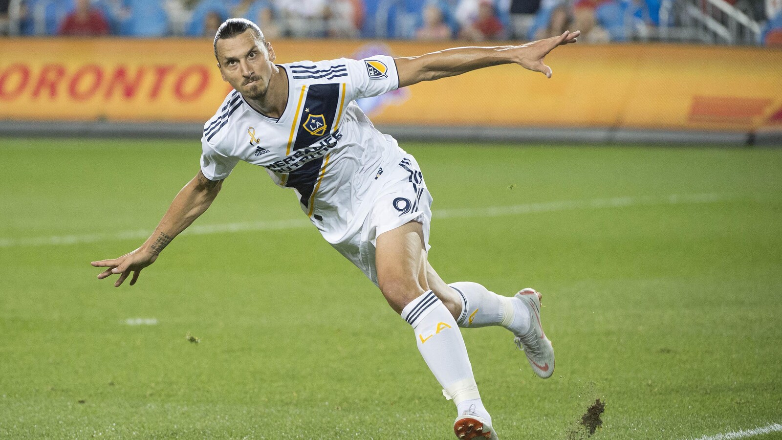 Zlatan Ibrahimovic