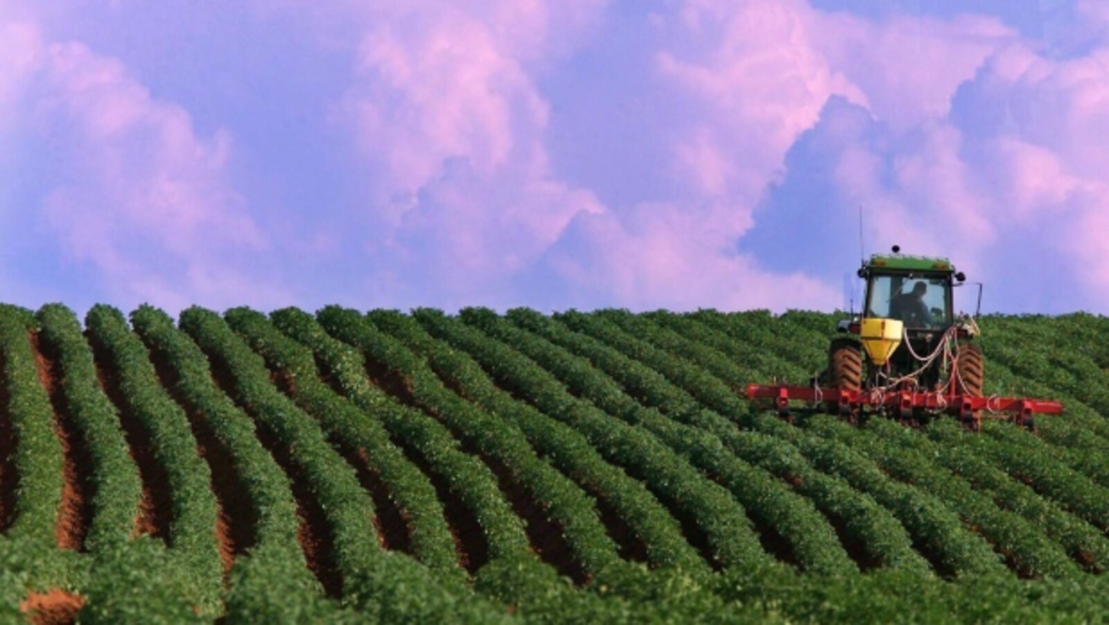 Un agriculteur travaille dans son champ de pommes de terre à l'Ïle-du-Prince-Édouard