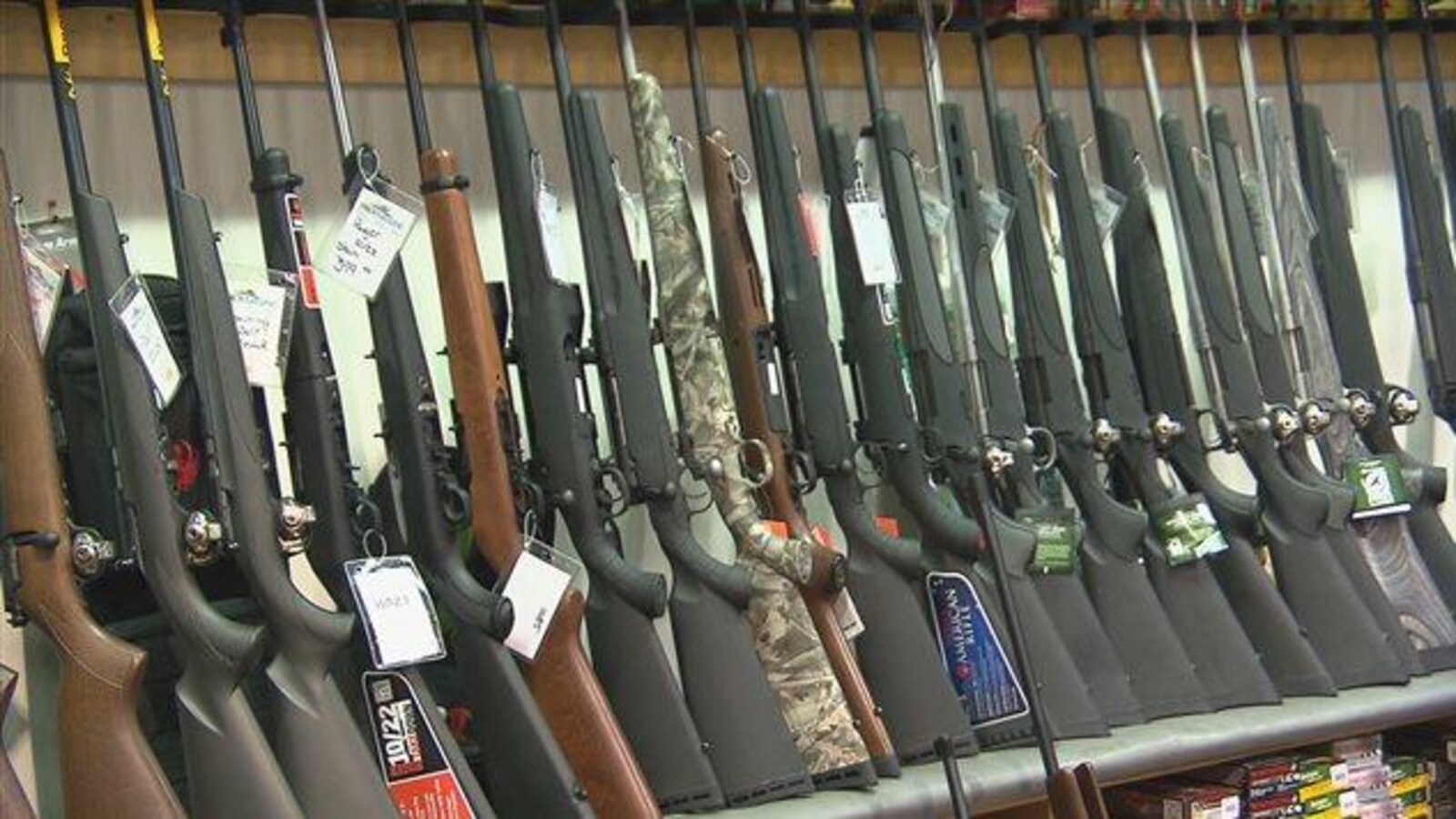 Un étalage de fusils de chasse chez un marchand