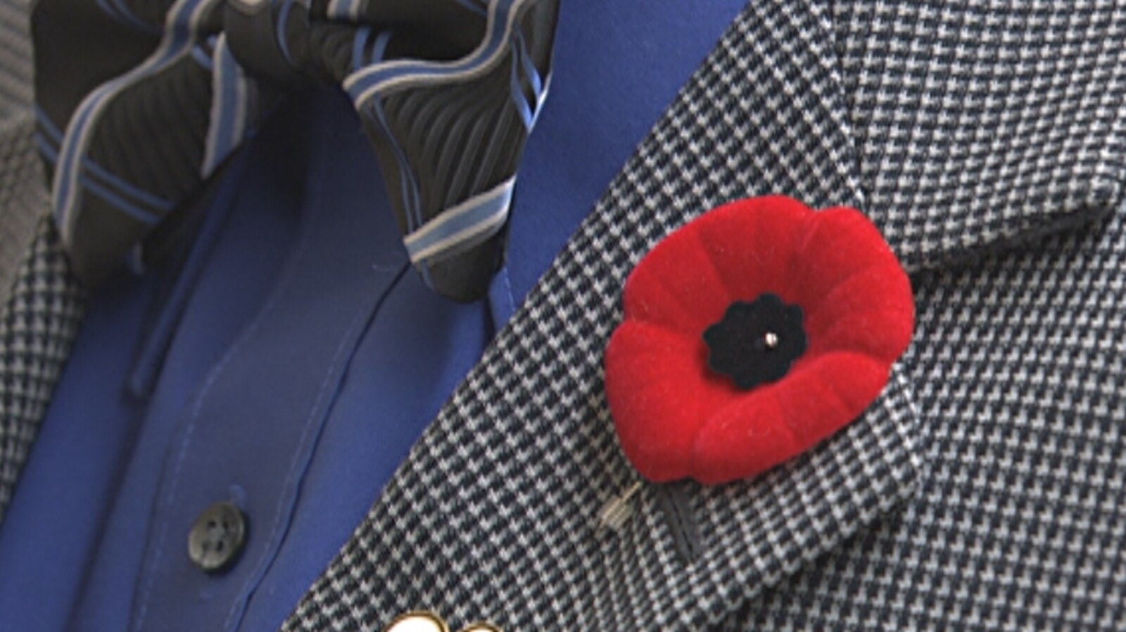 Un coquelicot épinglé sur le revers d'un veston d'homme vu de près.