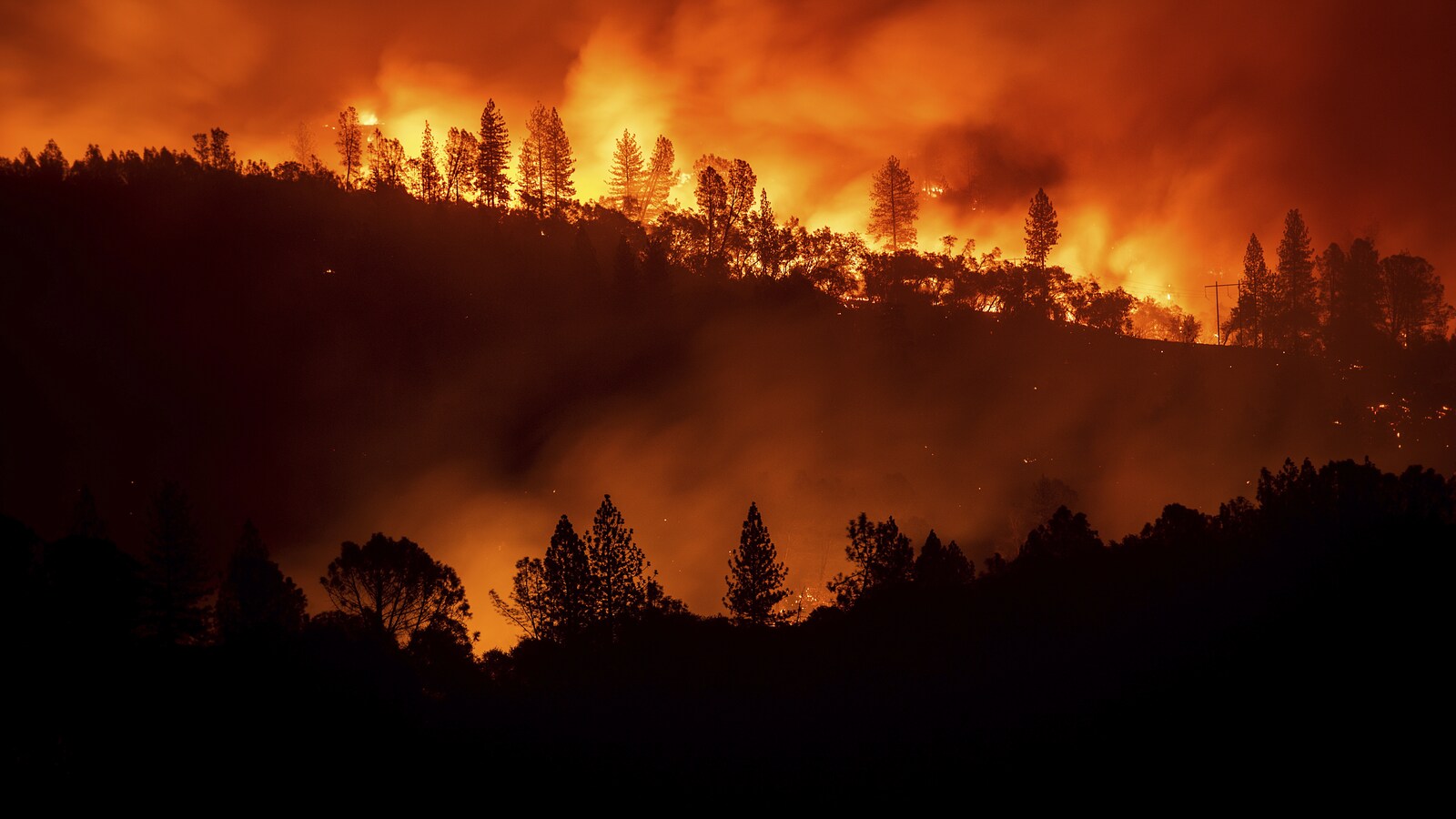 Une forêt californienne aux prises avec un incendie