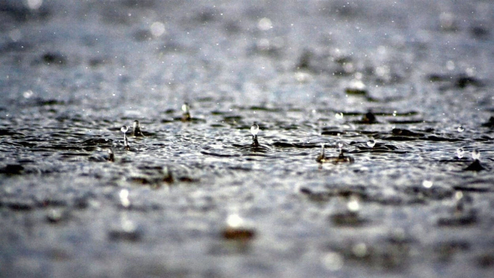 Des gouttes de pluie sur un sol trempé.