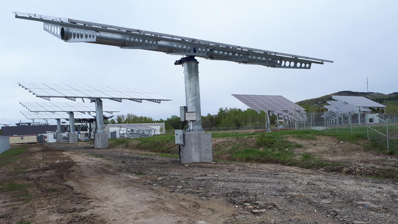 Des panneaux solaires dans le parc solaire de l'Université de Sherbrooke.