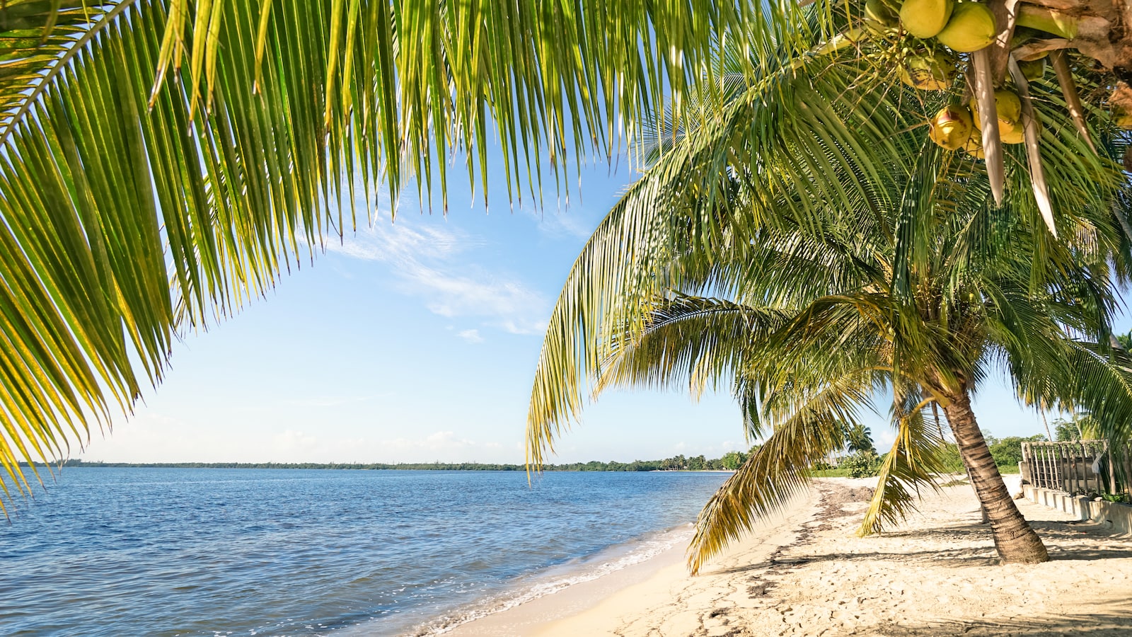 Une plage de Cuba.
