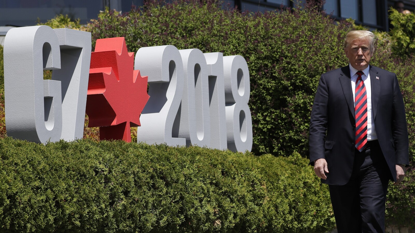 Donald Trump marche sur une allée bordée par une haie sur laquelle un logo du Sommet du G7 a été déposé.