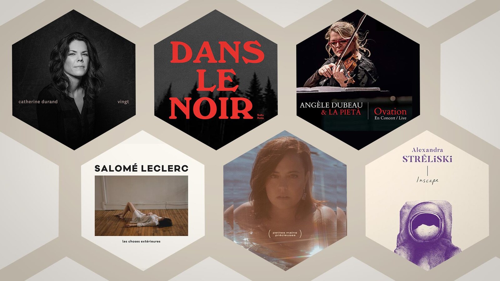 Les couvertures d'album sont imbriquées dans une structure en nid d'abeille.