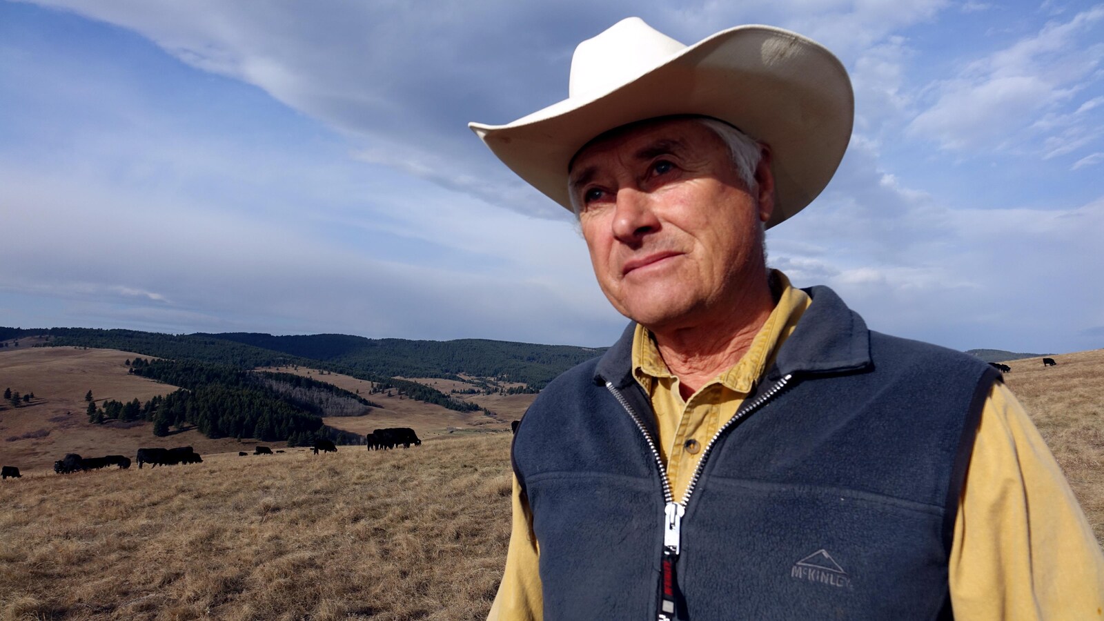 Un homme portant un chapeau de cowboy se tient devant un troupeau de vaches.