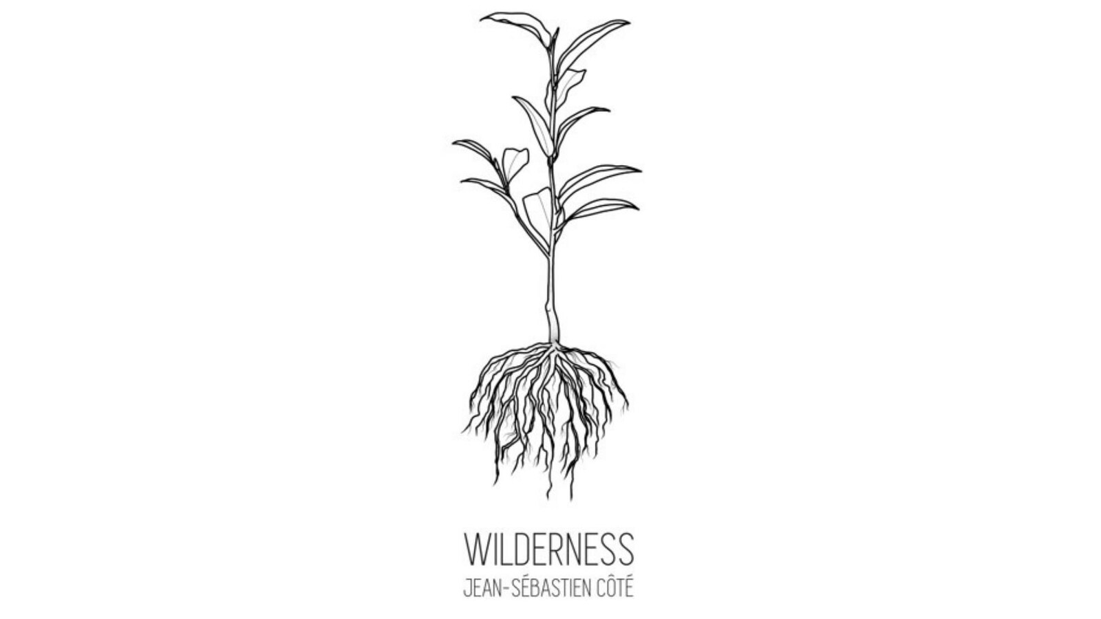 La pochette de l'album Wilderness présente une illustration d'une plante et de ses racines.