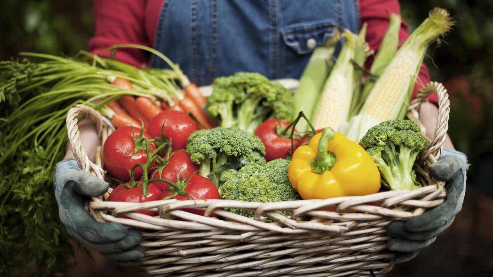 Le panier contient des tomates, du brocoli, un poivron du maïs et des carottes
