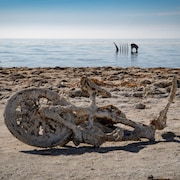 Un vélo couvert de rouille et de sédiments.