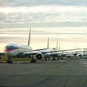 Des avions en rang sur la piste, leurs ailes très près les unes des autres.