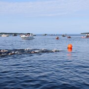 Des athlètes nagent dans le lac Saint-Jean. 