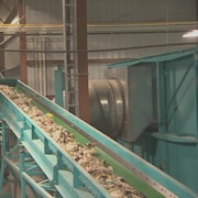 Une machine de broyage de matières résiduelles destinées à être transformées en biomasse ou en matériaux recyclables.