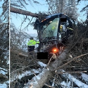 Deux photos d'un autocar qui a effectué une sortie de route et qui a foncé dans des arbres. 