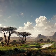 Illustration d'un paysage de savane africaine.
