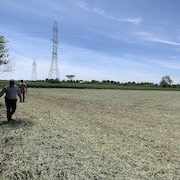 Un champ d,agriculture au Chemin Mining