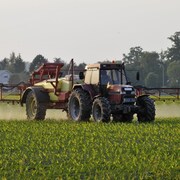 Un tracteur épand des pesticides dans un champ. 