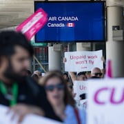 Des agents de bord d'Air Canada brandissent des pancartes à l'aéroport Pearson.