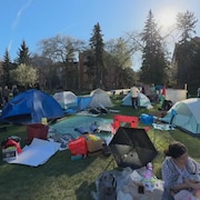 Des tentes installées sur le terrain face à un campus de l'Université de l'Alberta, en mai 2023.