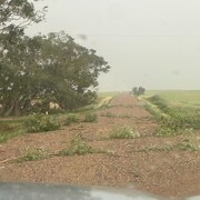 Des branches ont été emportées par les vents près du village de Vanguard, en Saskatchewan, lors d'une alerte de tornade le 22 juillet 2023.