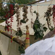 Des plantes sèches accrochées à une corde d'un camp prospecteur.