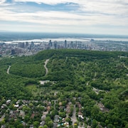 Vue aérienne d'un montagne couverte d'arbres avec les gratte-ciel d'une ville à l'arrière-plan.