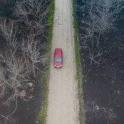 Photo aérienne d'une voiture rouge sur une route rurale qui traverse deux boisés où les arbres ont été noircis par le feu.