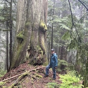 Alan Bardsley se promène dans la forêt près d'un arbre ancien.