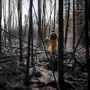 Des soldats sont dans une forêt dont les arbres ont été brûlés par le feu.