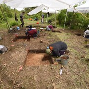 Des archéologues creusent le sol à la recherche d'artéfacts.