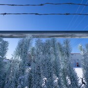 Un clôture barbelée sous le frimat