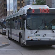Un autobus de l'entreprise Winnipeg Transit.
