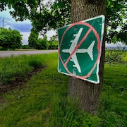 Une pancarte est fixée sur un arbre, sur laquelle on peut voir une interdiction d'avion.
