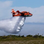 Un avion bombardier vole à basse altitude en laissant tomber l'eau.
