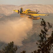 Un avion-citerne déverse de l'eau sur une forêt.