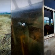 Trois images montrent les impacts de projectiles sur un poteau de bois et deux fenêtres