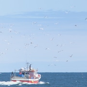 L'Écumeuse, au large d'Anse-Bleue, dans la Péninsule acadienne