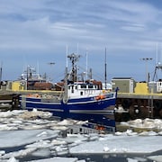 Des bateaux sont à quai à travers les glaces.