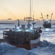 Des bateaux de pêche au homard prennent le large à l'aube.