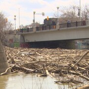 De nombreuses branches coincées entre deux ponts à Winnipeg, le 9 mai 2023. 