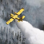 Un avion-citerne arrose un feu de forêt.