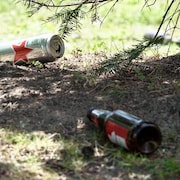 Une canette de Heineken et une autre bouteille de bière sur une pelouse.