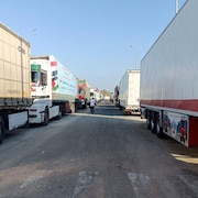 Des camions sont alignés les uns derrière les autres.