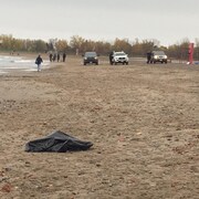 Un canard mort recouvert d'un plastique noir sur une plage