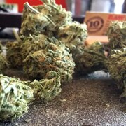 Du cannabis en fleurs séchées, acheté légalement en Ontario. 