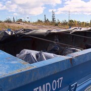 Les carcasses d'orignaux doivent être placées dans des sacs avant leur dépôt à l'écocentre.