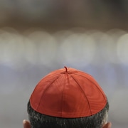 Le haut de la tête d'un cardinal portant sa calotte, de dos.