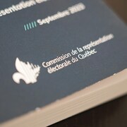 Le rapport préliminaire de la Commission.