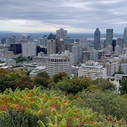 Le centre-ville de Montréal.